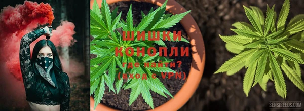 гашик Магас