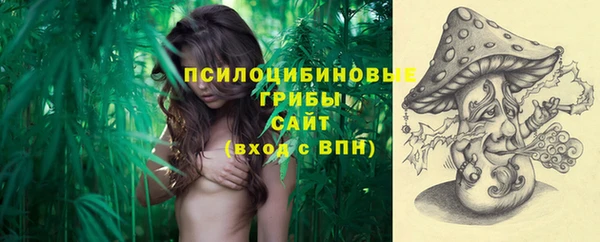 гашик Магас