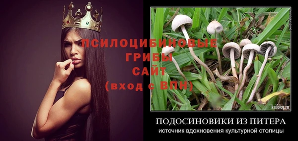 гашик Магас