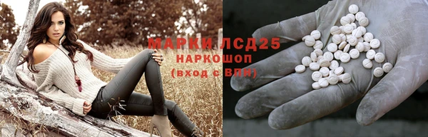 гашик Магас