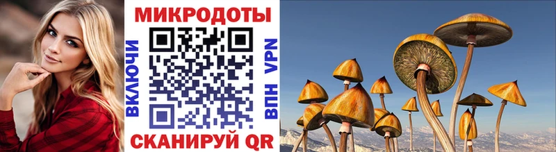 Галлюциногенные грибы MAGIC MUSHROOMS  Купить  Родники 